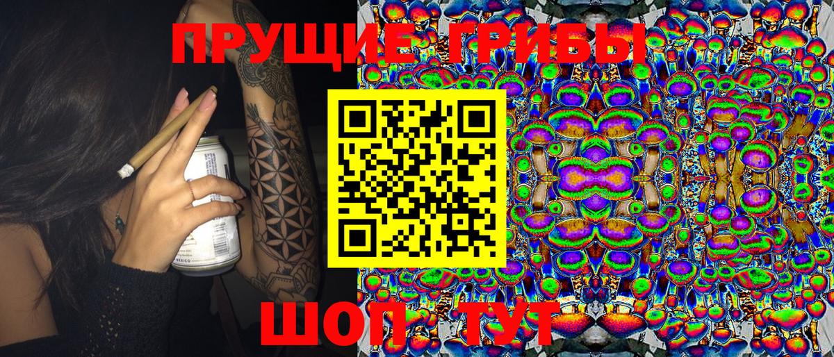 Псилоцибиновые грибы MAGIC MUSHROOMS  Вход с VPN  Черняховск 